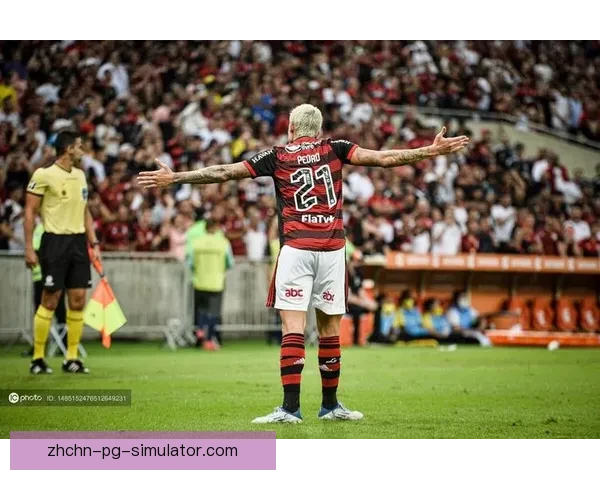 弗拉门戈两分钟内连进两球逆转河床夺得南美解放者杯冠军