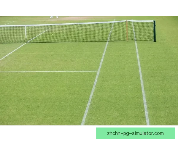 芝加哥火焰因主场草坪受损将临时租借邻近大学球场举办比赛